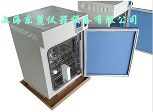 電熱恒溫培養(yǎng)箱,烘箱 dhp 9162